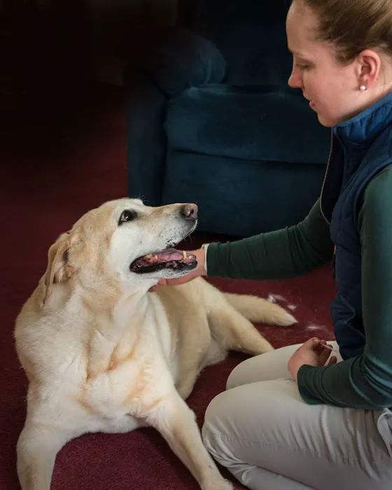 Tailored Veterinary Care 12