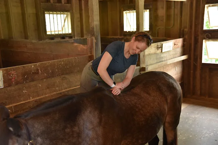 Tailored Veterinary Care 12
