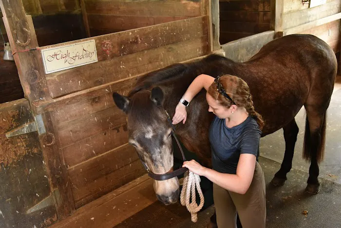 Tailored Veterinary Care 12