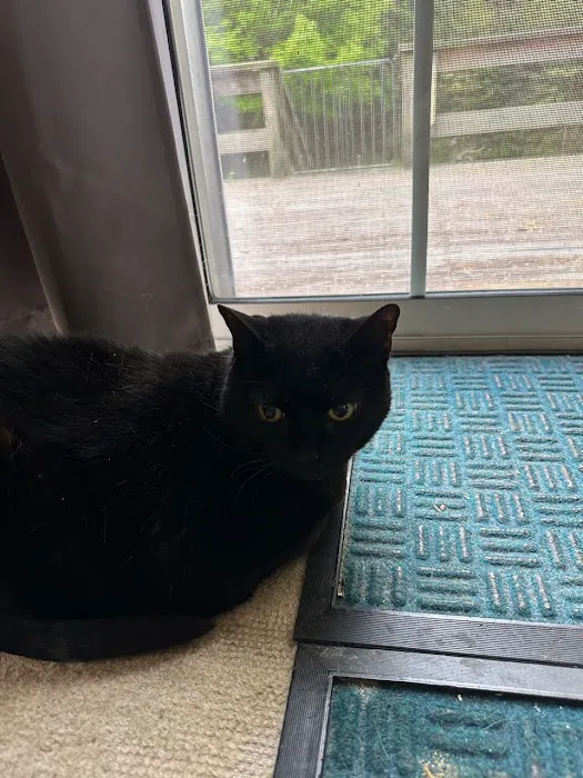 Vestal Veterinary Hospital: Mckinney Christopher DVM 10