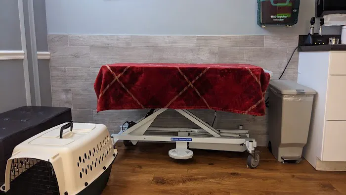 Vestal Veterinary Hospital: Mckinney Christopher DVM 1