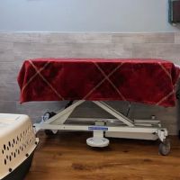 Vestal Veterinary Hospital: Mckinney Christopher DVM ico