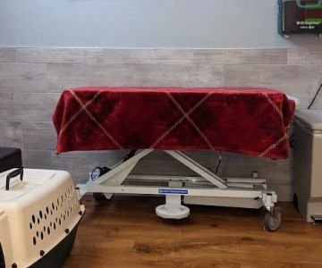 Vestal Veterinary Hospital: Mckinney Christopher DVM