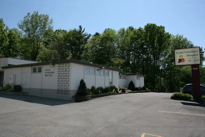 Vestal Veterinary Hospital 4