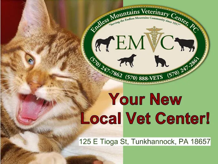 Endless Mountains Veterinary Center, PC 10
