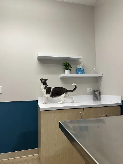 Truss Vet - Veterinary Urgent Care 1