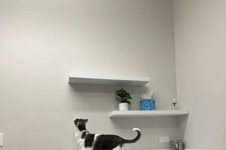 Truss Vet - Veterinary Urgent Care