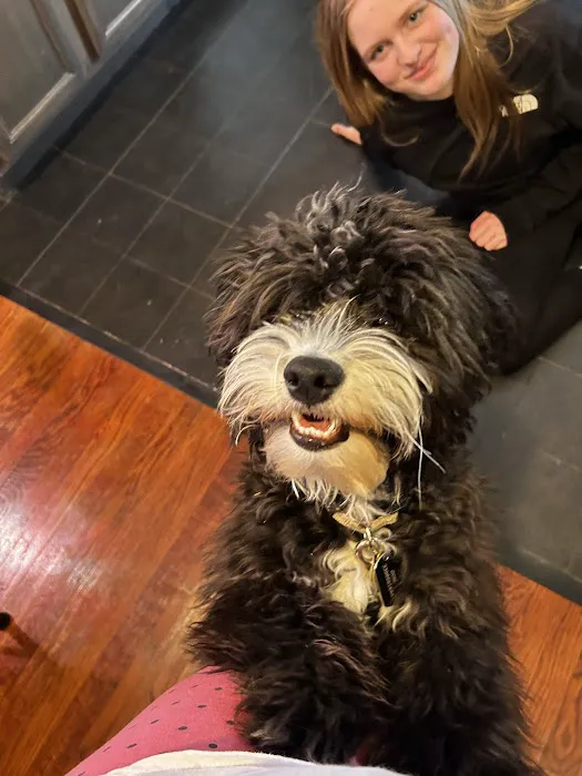 Truss Vet - Veterinary Urgent Care 2