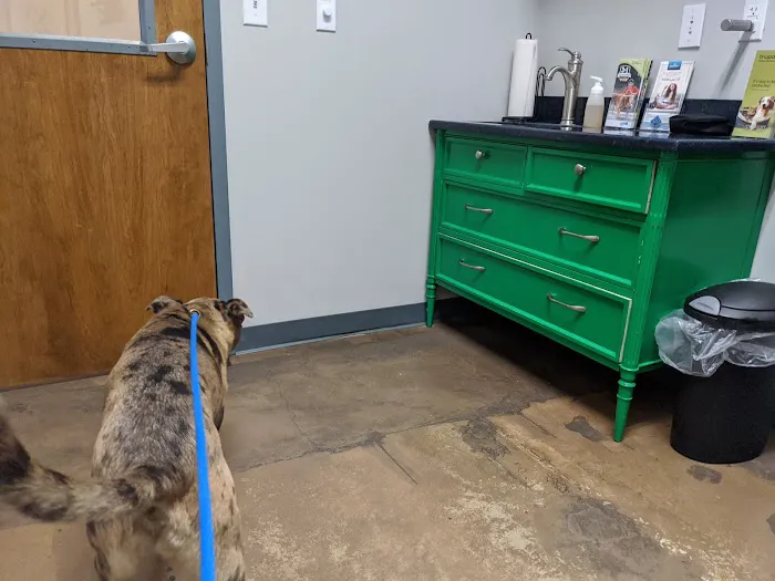 Downtown Greensboro Animal Hospital 6