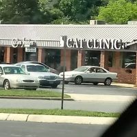 Cat Clinic of Greensboro: Silvers Mark DVM ico