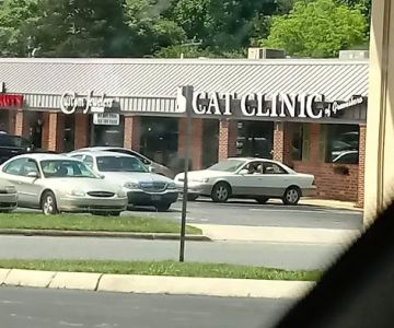 Cat Clinic of Greensboro: Silvers Mark DVM