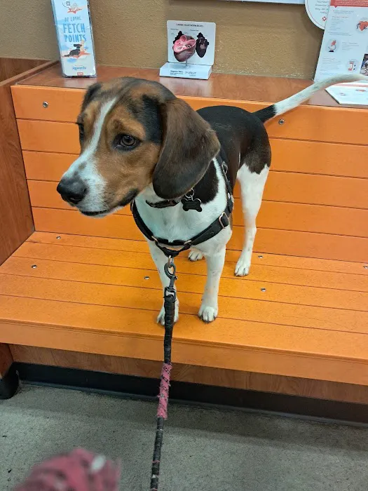 Banfield Pet Hospital 5