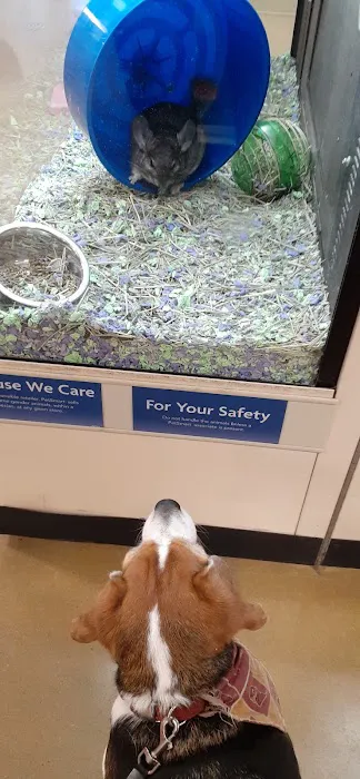Banfield Pet Hospital 1