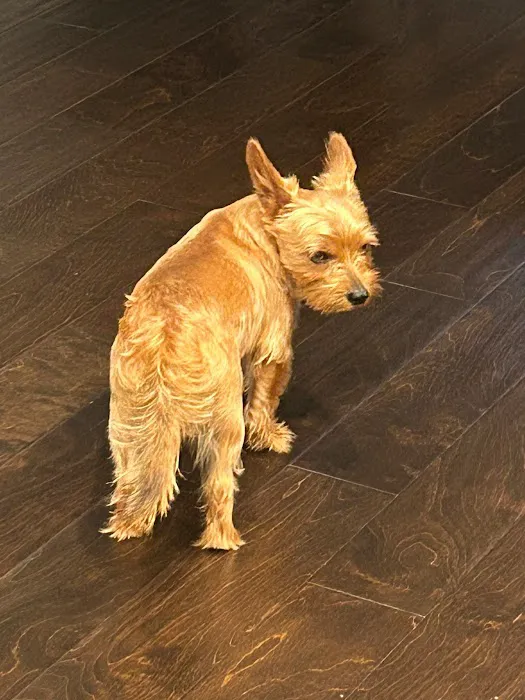 Banfield Pet Hospital 8