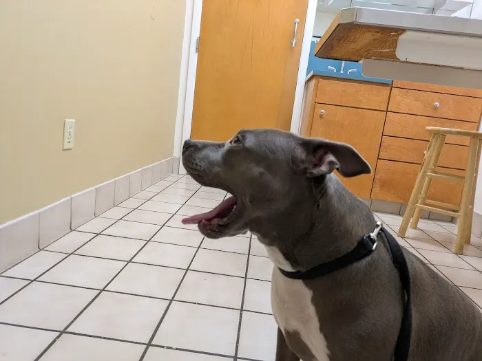 Battleground Veterinary Hospital 2