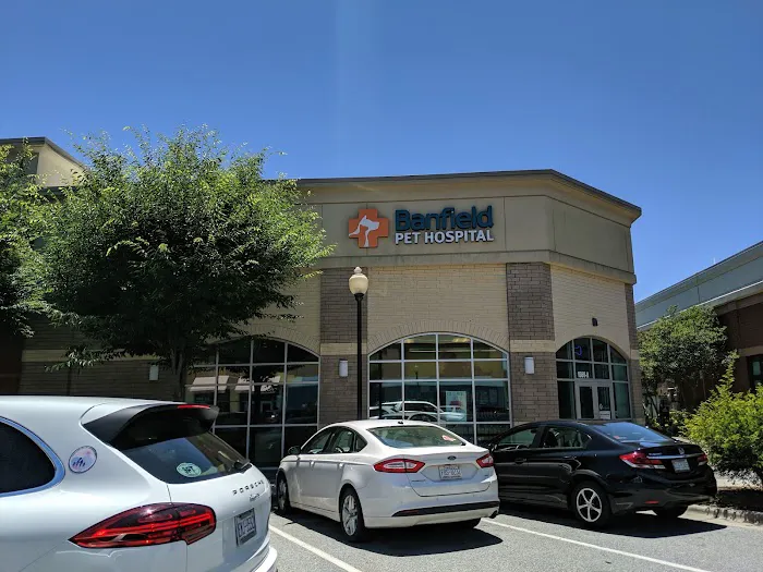 Banfield Pet Hospital 12