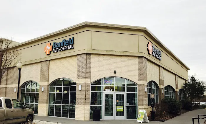 Banfield Pet Hospital 12