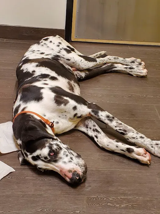 Banfield Pet Hospital 12