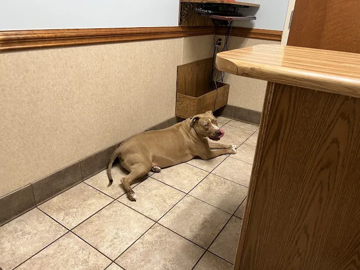 Oak Ridge Animal Hospital 6