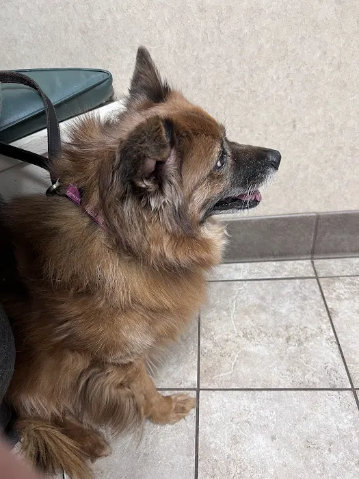 Oak Ridge Animal Hospital 8