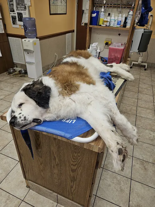 Oak Ridge Animal Hospital 2