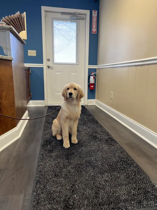 Bel - Aire Veterinary Hospital 9