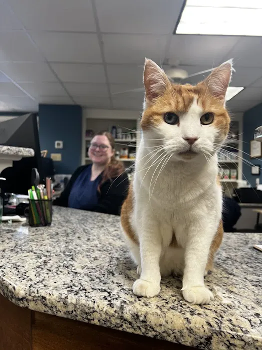 Bel - Aire Veterinary Hospital 6