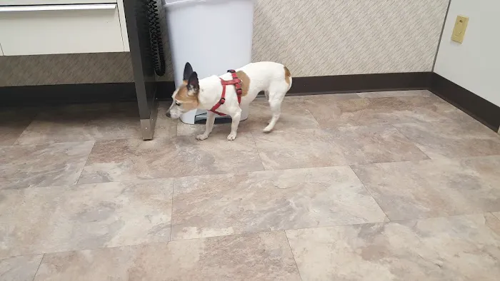 Cobb Animal Clinic 2