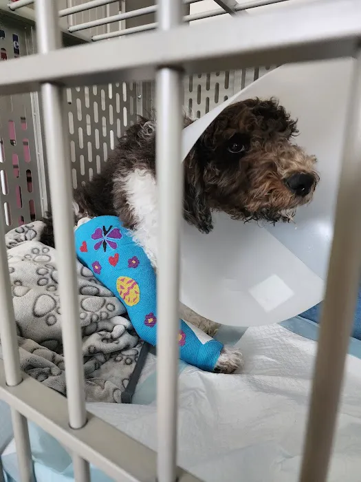 Cobb Animal Clinic 5