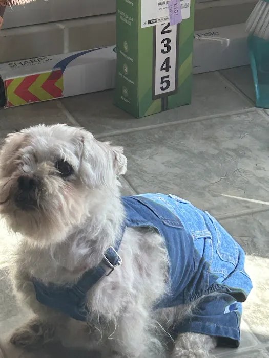 Phoenix Animal Hospital 4