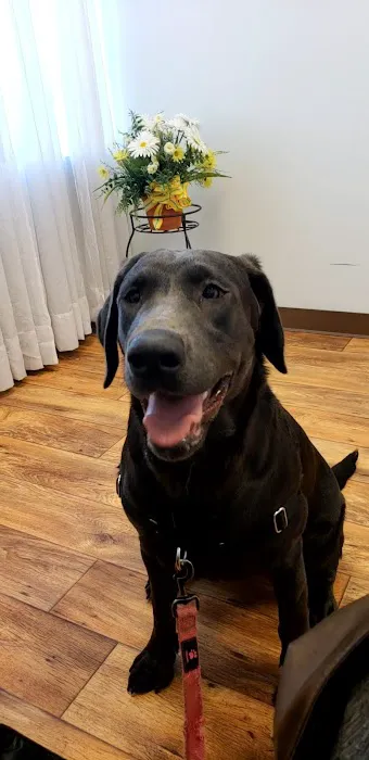 Phoenix Animal Hospital 5