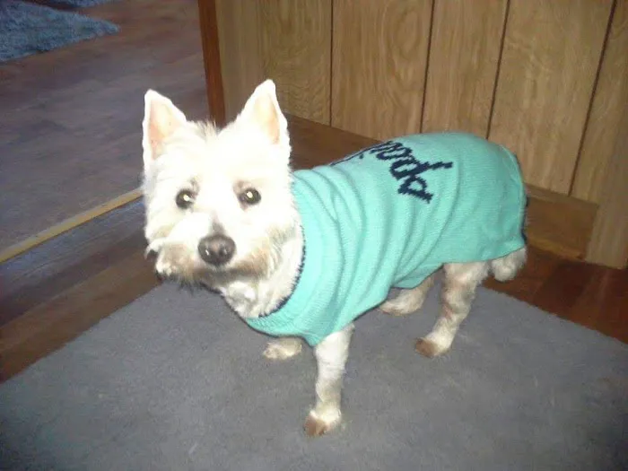 Phoenix Animal Hospital 6