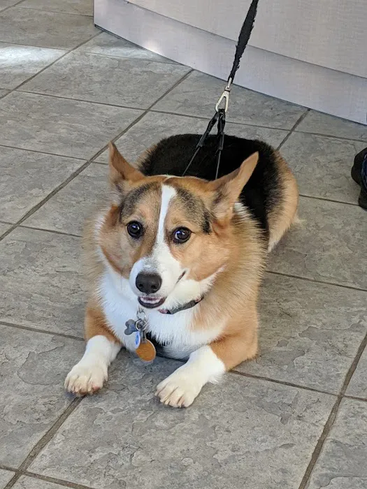 New Hope Animal Hospital 10