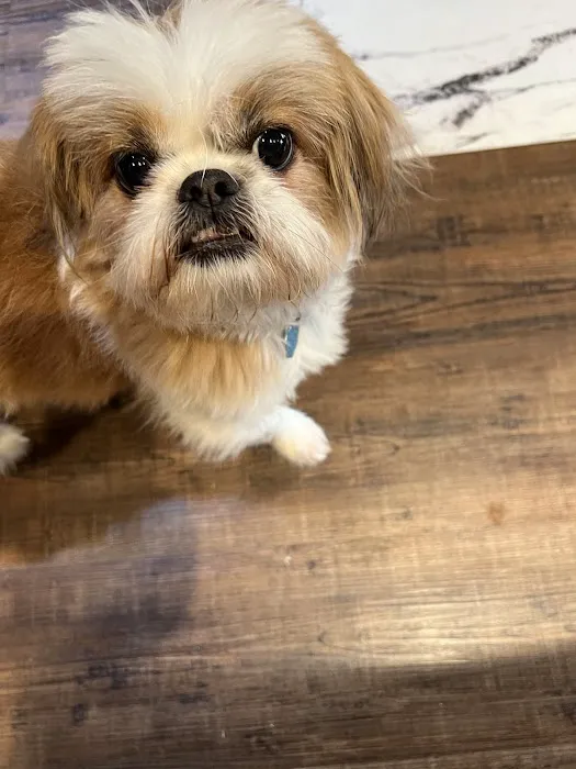 New Hope Animal Hospital 1