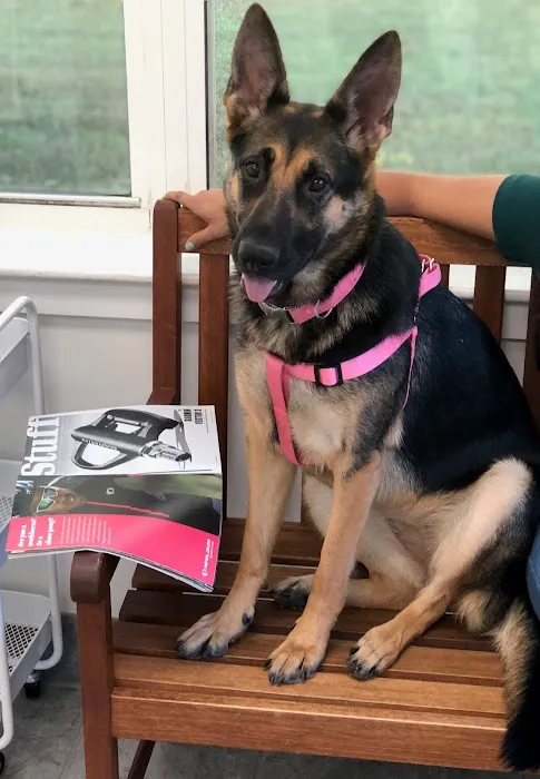 New Hope Animal Hospital 4