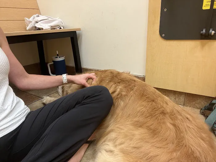 Banfield Pet Hospital 1