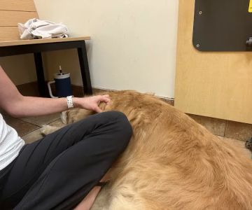 Banfield Pet Hospital