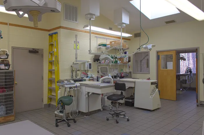 Park Veterinary Hospital & Urgent Care 4