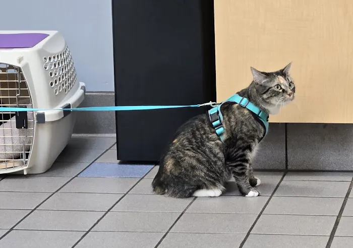 Park Veterinary Hospital & Urgent Care 3