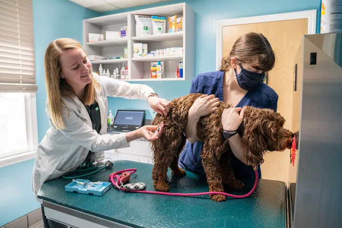 Park Veterinary Hospital & Urgent Care 8