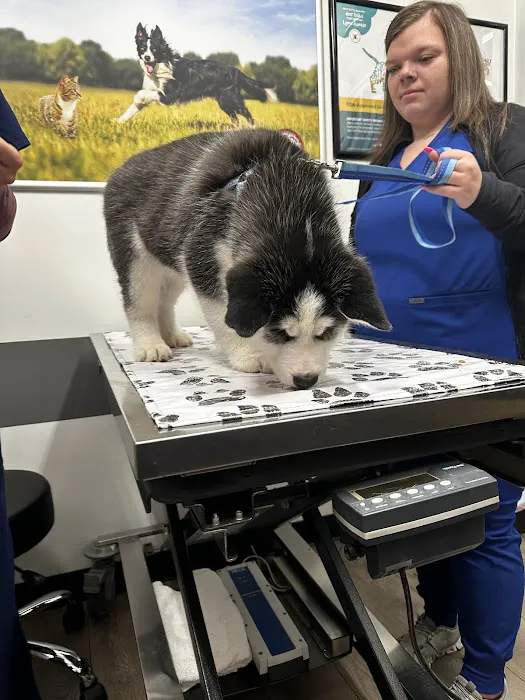 PetVet Vaccination Clinic 7