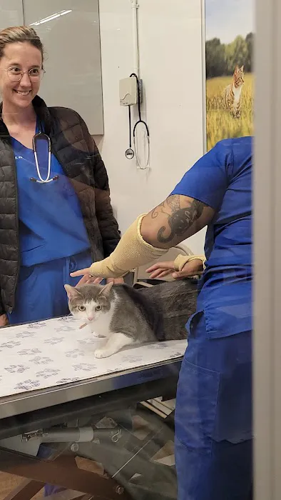 PetVet Vaccination Clinic 4