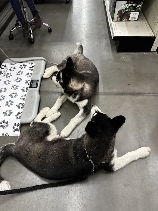 PetVet Vaccination Clinic 2