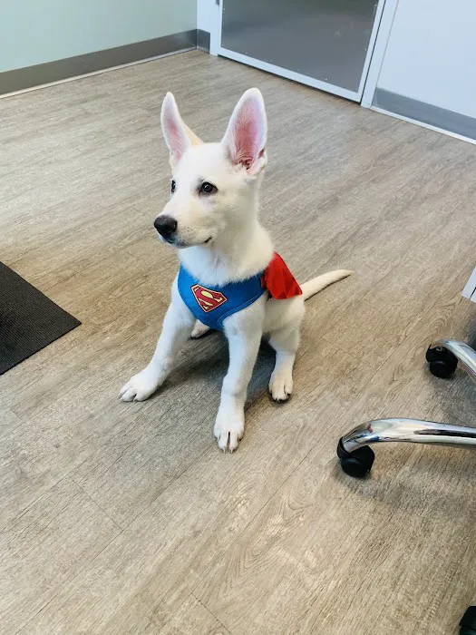Healing Paws Veterinary Hospital 9