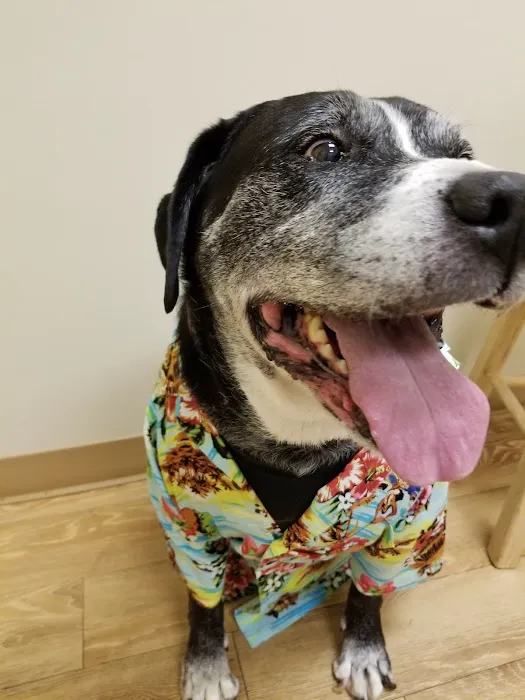 Healing Paws Veterinary Hospital 5