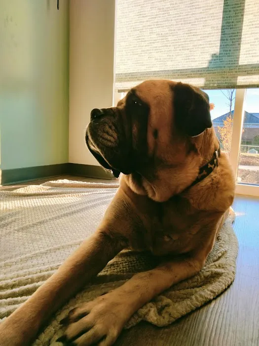 Healing Paws Veterinary Hospital 1