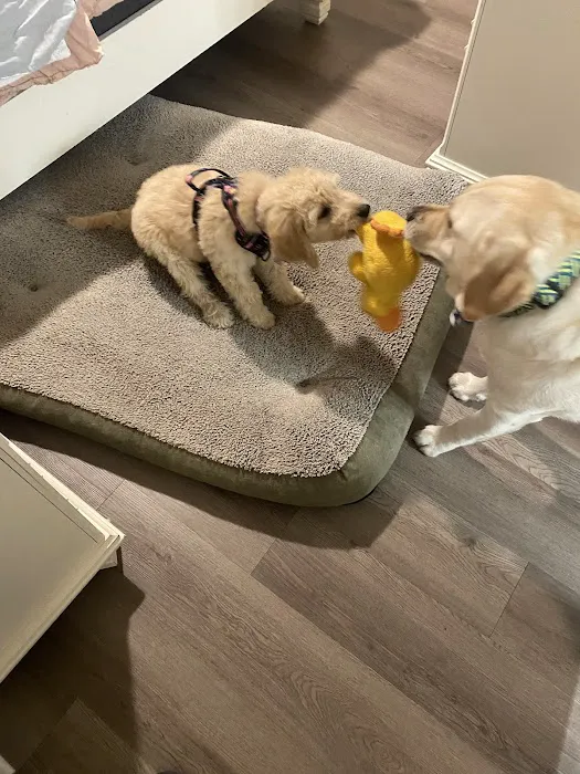 Healing Paws Veterinary Hospital 8