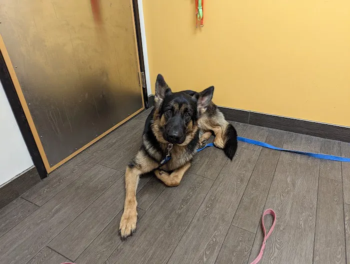 Banfield Pet Hospital 6