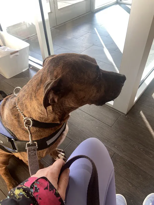 Banfield Pet Hospital 3