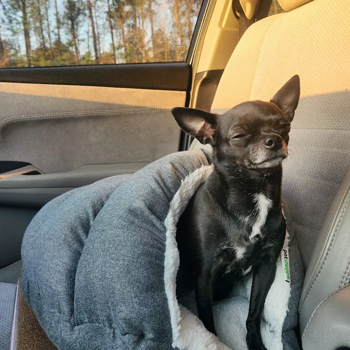 Banfield Pet Hospital 9